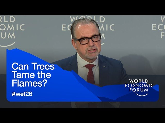 Can Trees Tame the Flames? - Nature-Based Solutions for Wildfire Prevention and Mitigation