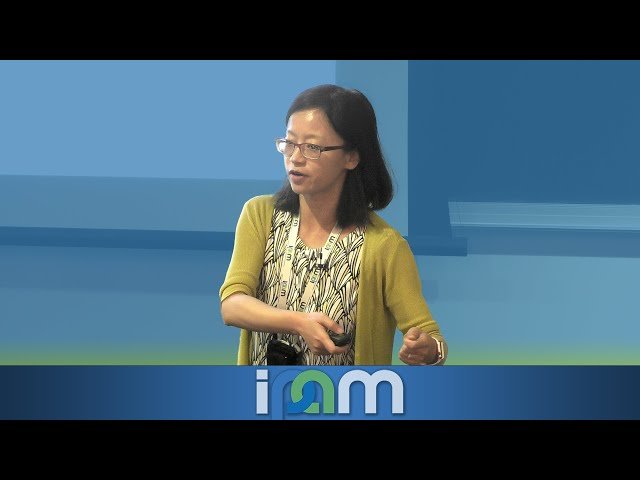 Mathematics of Intelligences - Computational Models, Neural Mechanisms, and Evolutionary Approaches