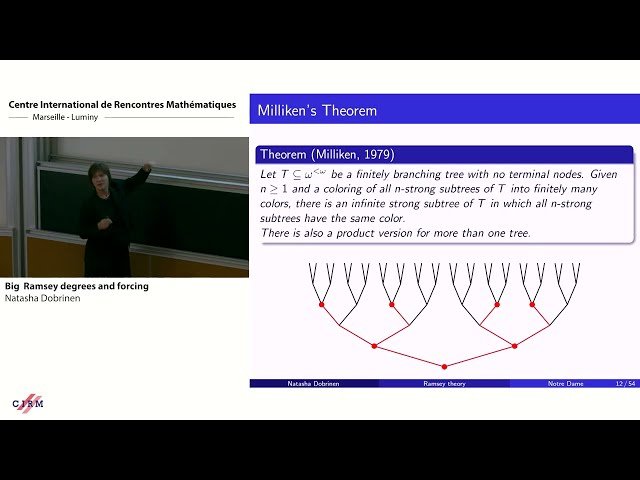 Big Ramsey Degrees and Forcing