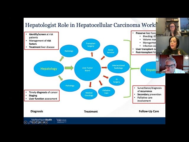 Gastrointestinal Cancer: Understanding Liver Cancer