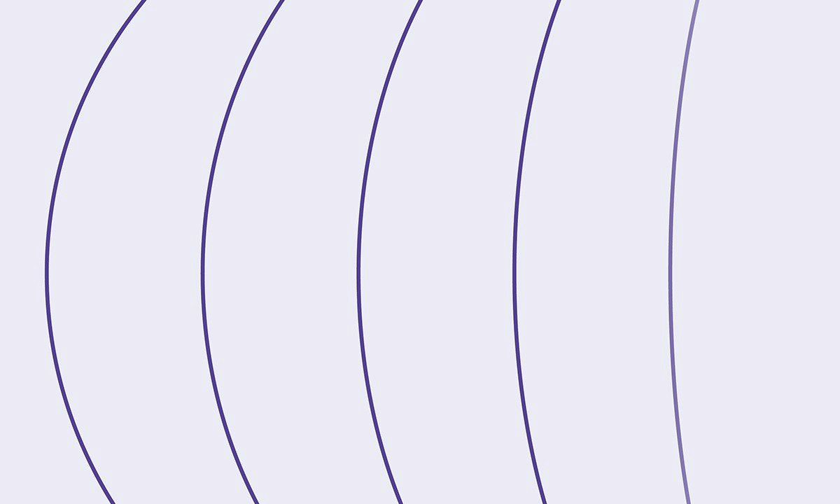 Go Fundamentals: Presented by Gopher Guides