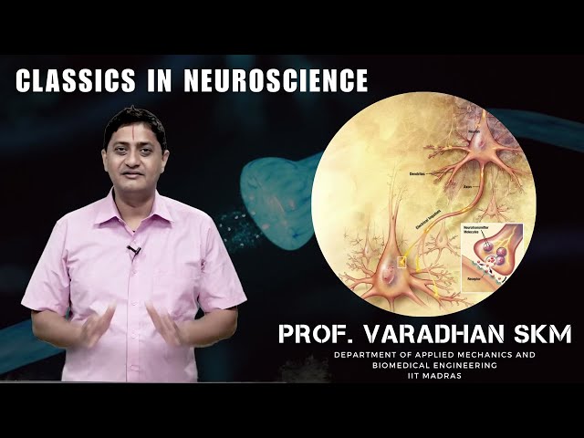 Central Pattern Generators