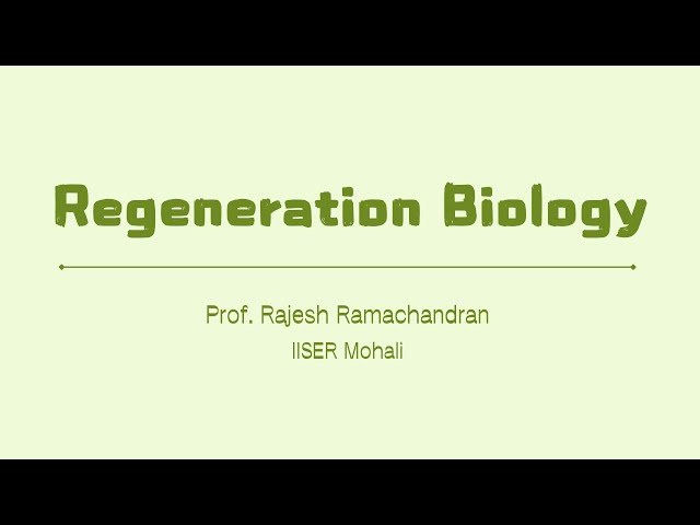 Regeneration, Wound Healing and Scar Formation in Different Regenerative Capacity - Week 1 Lecture 2