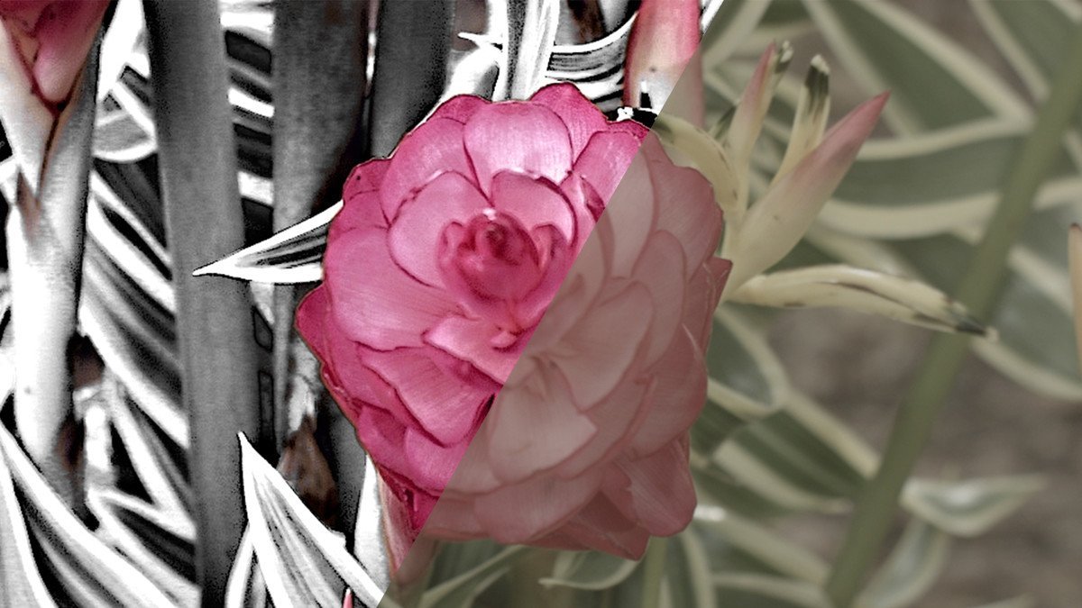 After Effects Guru: Color Grading Footage