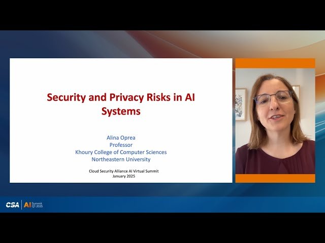 Security and Privacy Risks in AI Systems
