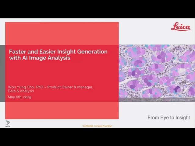 Get to Insights Faster and Easier with AI Image Analysis Tools