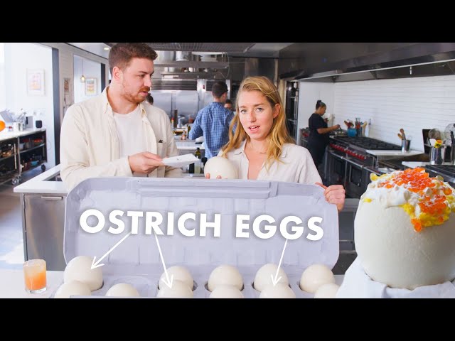 Pro Chef Learns How to Cook Ostrich Eggs