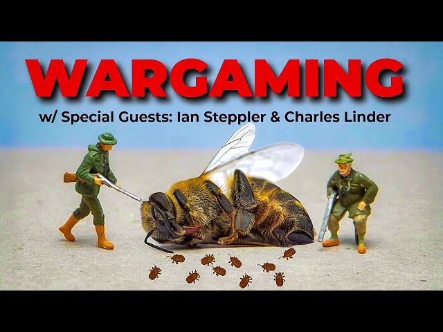 War Gaming Tropi - Could Tropilaelaps Mites Invade the U.S.?