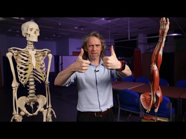 Origins and Insertions of Thumb Muscles