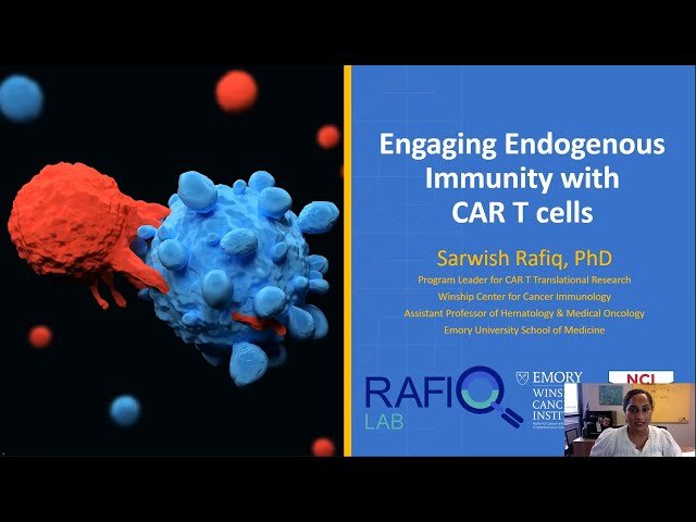 Engaging Endogenous Immunity with CAR T Cells
