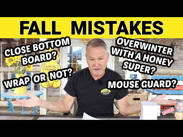 Preparing Bees for Winter - How to Avoid Common Beekeeping Mistakes - Part 4