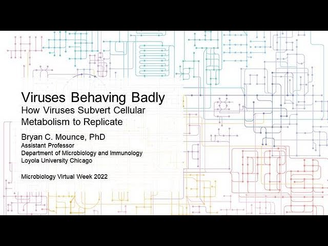 How Viruses Subvert Cellular Metabolism to Replicate