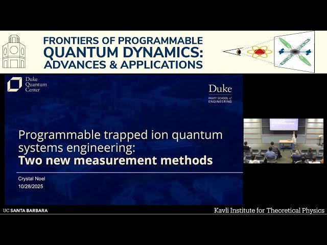 Programmable Trapped Ion Quantum Systems Engineering