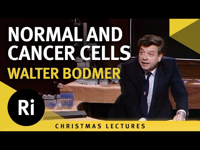Normal Cells and Cancer Cells - Lecture 5