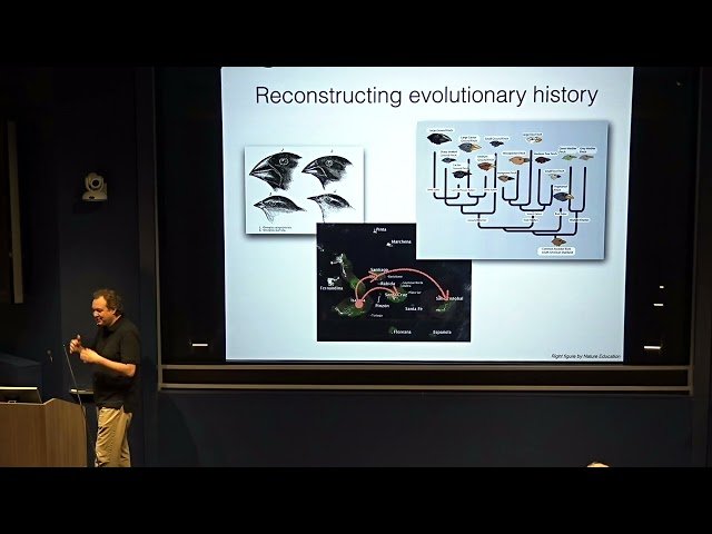 Complex Discrete Probability Models in Evolutionary Biology: Challenges and Opportunities