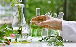 Herbal Product Technology and Regulatory Science