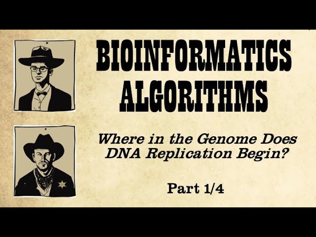 The Search for Hidden Messages in the Replication Origin - Part 1