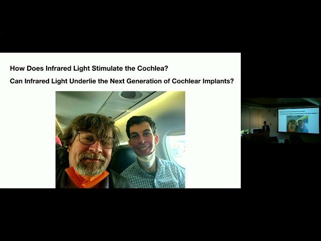 Optical Stimulation of the Cochlea