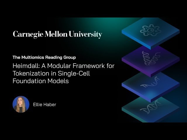 Heimdall - A Modular Framework for Tokenization in Single-Cell Foundation Models