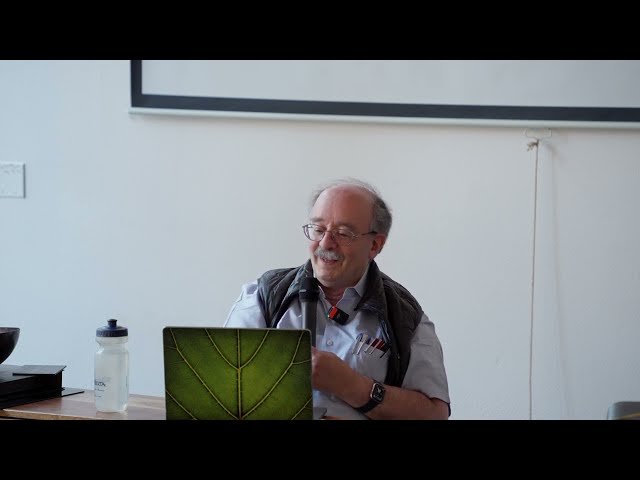 Fossil-Free Flight - Innovations in Sustainable Aviation Through Fuel Alternatives and Energy Efficiency