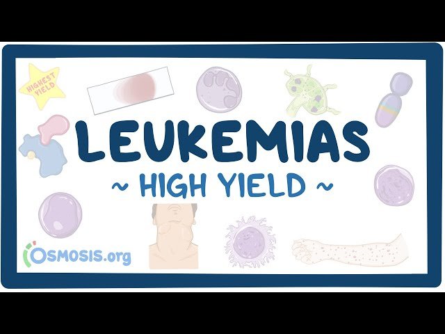 Leukemias - Pathology Review