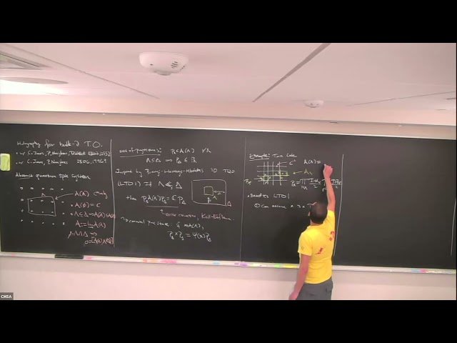 Holography for Bulk-Boundary Local Topological Order