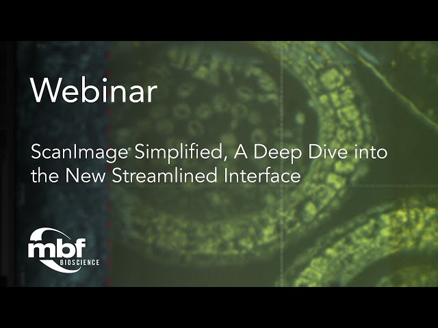 ScanImage Simplified - A Deep Dive into the New Streamlined Interface