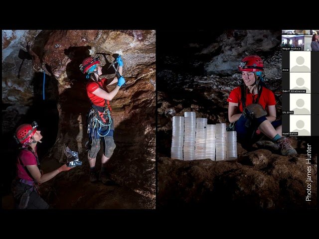 Dark Life - The Strange Chemistries of Cave Geomicrobiology