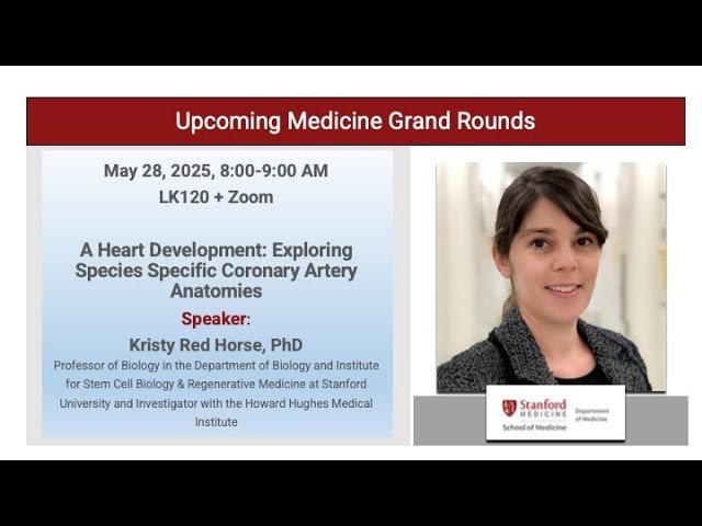 Heart Development - Exploring Species Specific Coronary Artery Anatomies