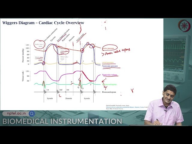 Types of Biosignals - ECG Part 2
