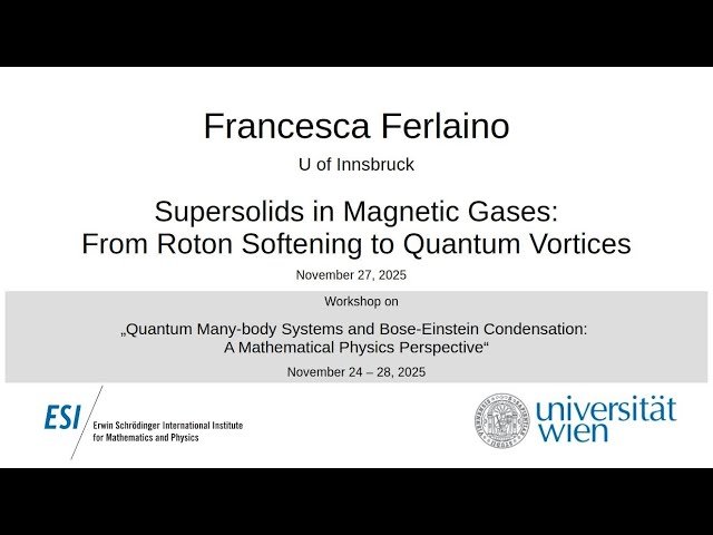 Supersolids in Magnetic Gases - From Roton Softening to Quantum Vortices