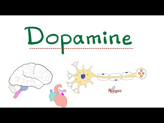 Psychiatry - Psychology, Neuropsychiatry, and Neuropharmacology