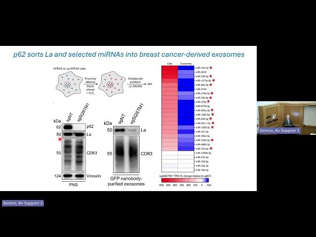 Unconventional Secretion - Extracellular Vesicles and α-Synuclein