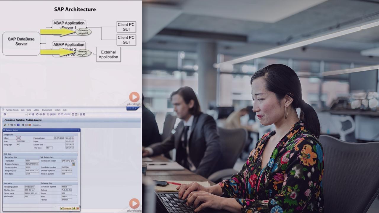 Introduction to SAP Integration for .NET Developers