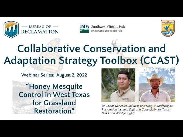 Honey Mesquite Control and Desert Grassland Restoration in West Texas