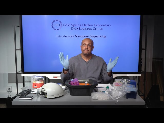 Educator's Guide to Nanopore Microbial Isolates: Library Prep - Pool and Clean