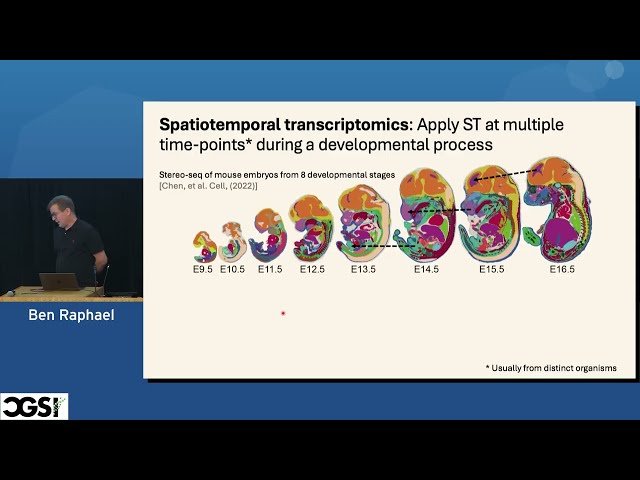 Spatiotemporal Alignment of Developmental Processes
