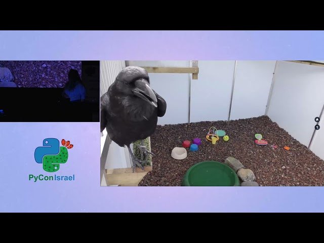 Giving Voice to a Raven - Audio Analysis and Servo Control with Python