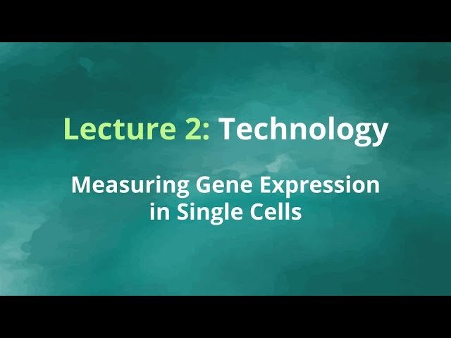 Obesity ML Competition - Gene Expression Programs Technology - Lecture 2, Part A