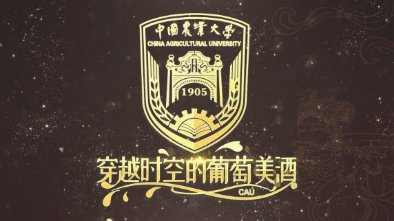 穿越时空的葡萄美酒