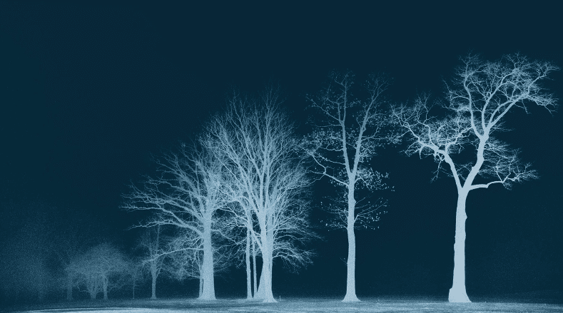 Fine Art Portfolio-Shades of Blue (Live Online)