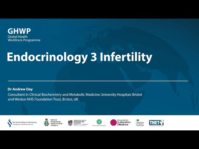 Endocrinology - Infertility