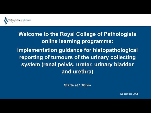 Implementation Guidance for Histopathological Reporting of Tumours of the Urinary Collecting System