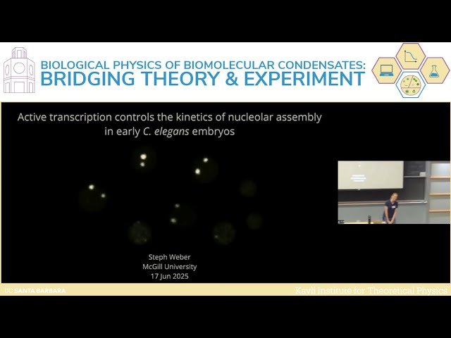 Active Transcription Controls the Kinetics of Nucleolar Assembly in Early C. elegans Embryos
