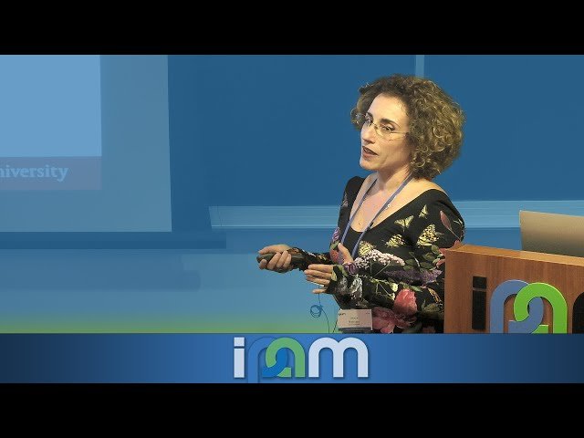 Pushing Multiscale Modeling of Battery Systems through Symbolic-Numeric Computing