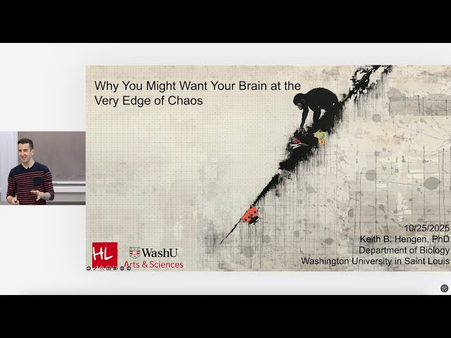 Why You Might Want Your Brain at the Very Edge of Chaos