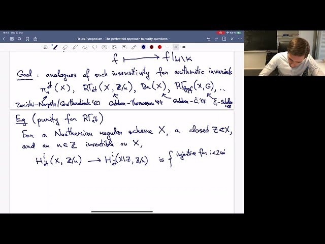 The Perfectoid Approach to Purity Questions