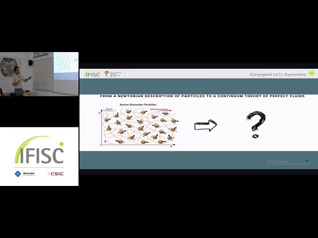 Emergent Behaviour and Symmetry in Active Matter Systems