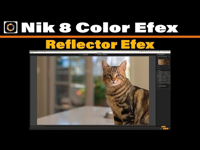 Reflector Efex in Nik 8 Color Efex - Add Natural Fill Light and Open Up Shadows