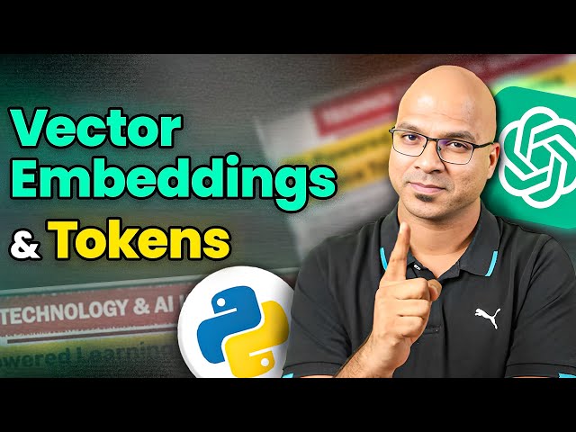Vector Embeddings and Tokens - Understanding Text Tokenization and OpenAI API Implementation